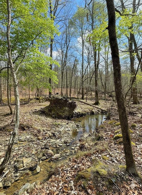 771 Timber Creek Trails South XI, Broken Bow, OK 74728