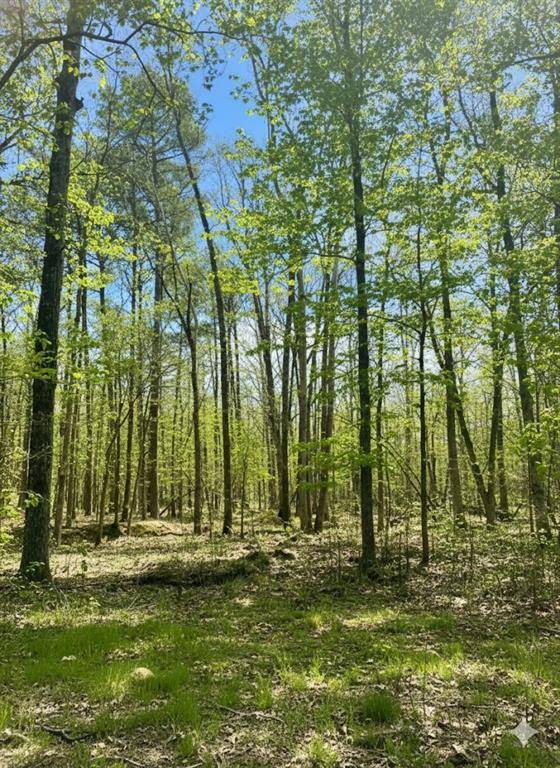 772 Timber Creek Trails South XI, Broken Bow, OK 74728
