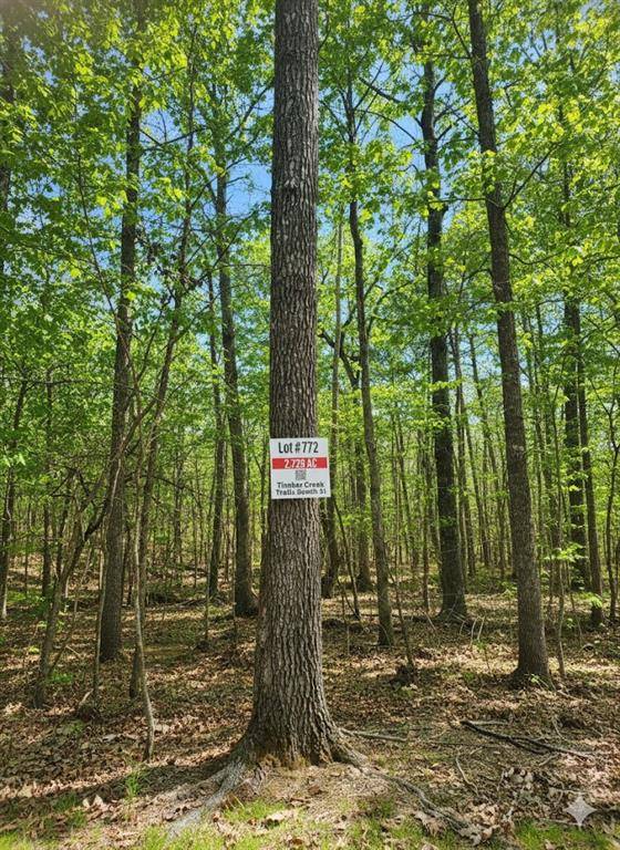 772 Timber Creek Trails South XI, Broken Bow, OK 74728