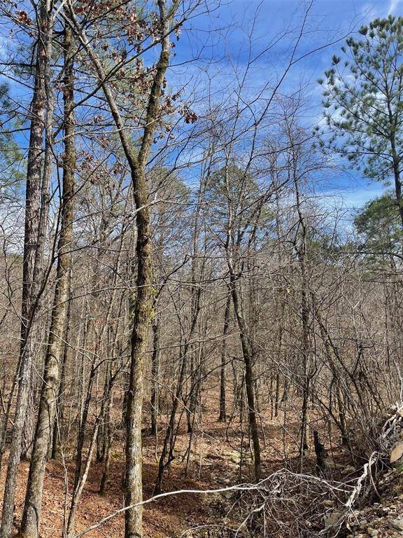 773 Timber Creek Trails South XI, Broken Bow, OK 74728