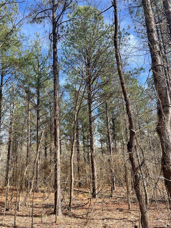 774 Timber Creek Trails South XI, Broken Bow, OK 74728