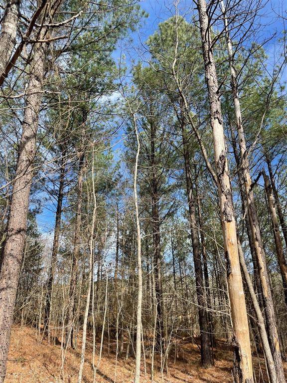 774 Timber Creek Trails South XI, Broken Bow, OK 74728