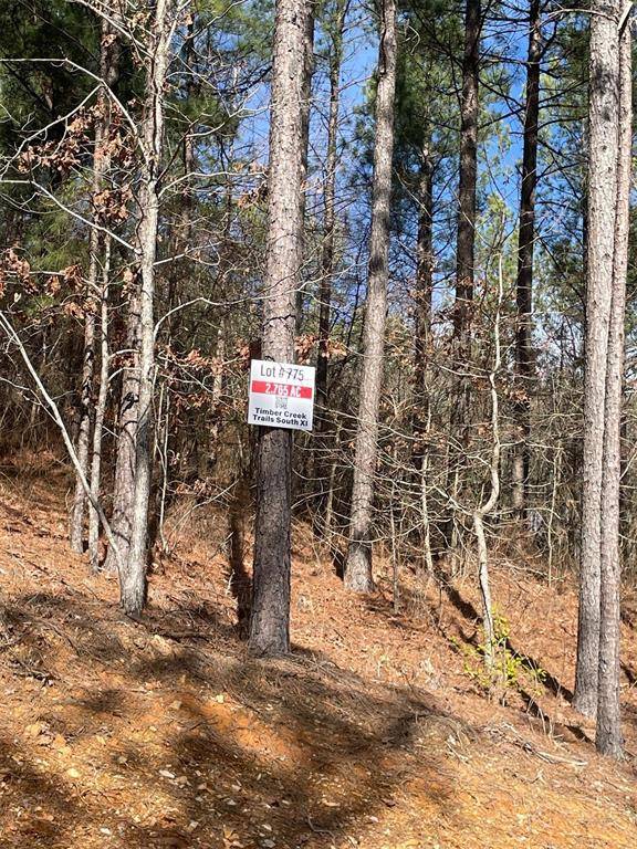 775 Timber Creek Trails South XI, Broken Bow, OK 74728