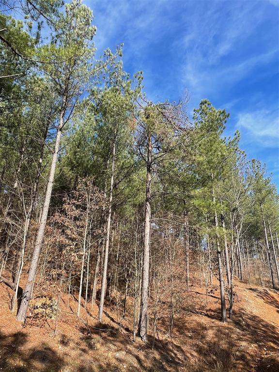 776 Timber Creek Trails South XI, Broken Bow, OK 74728