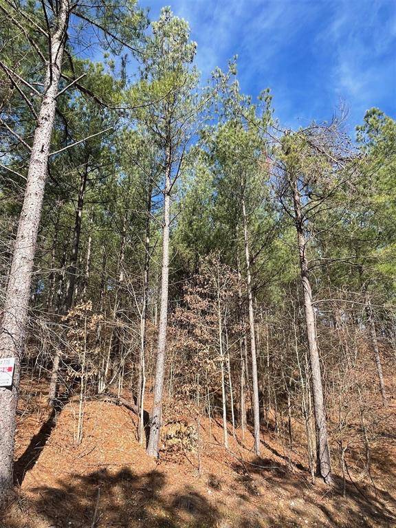 776 Timber Creek Trails South XI, Broken Bow, OK 74728