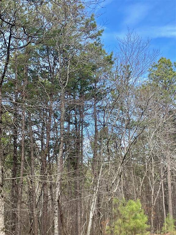 777 Timber Creek Trails South XI, Broken Bow, OK 74728