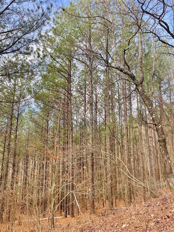 777 Timber Creek Trails South XI, Broken Bow, OK 74728