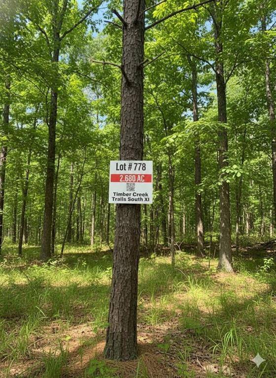 778 Timber Creek Trail South XI, Broken Bow, OK 74728