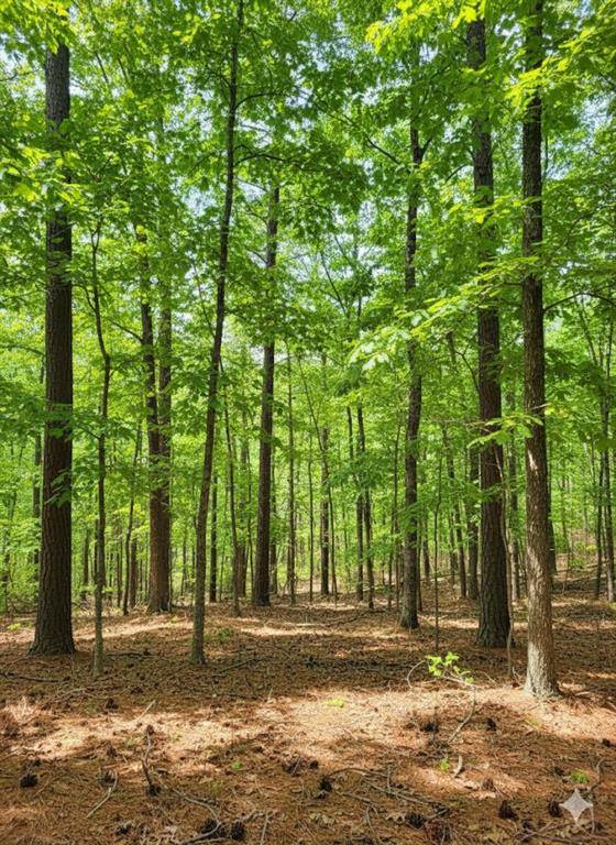 778 Timber Creek Trail South XI, Broken Bow, OK 74728