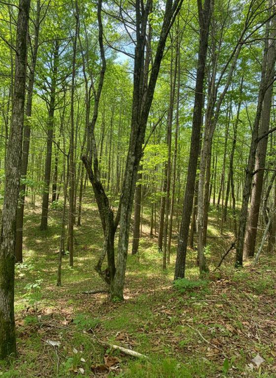 778 Timber Creek Trail South XI, Broken Bow, OK 74728
