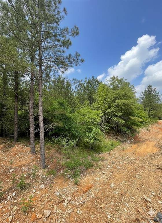668 Timber Creek Trails South XI, Broken Bow, OK 74728