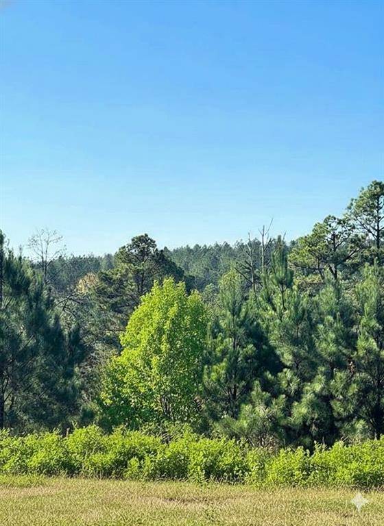 136 Charmed Ridge LN, Broken Bow, OK 74728