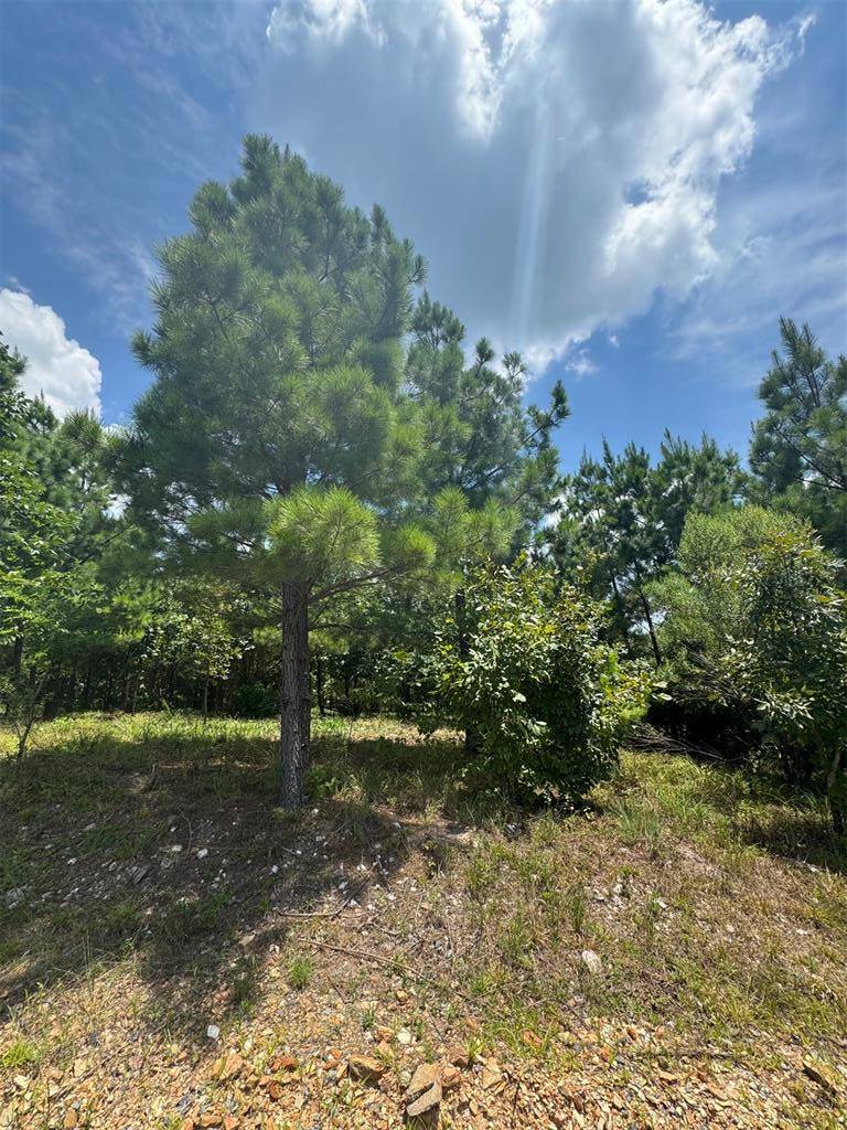 20 Charmed Ridge LN, Broken Bow, OK 74728