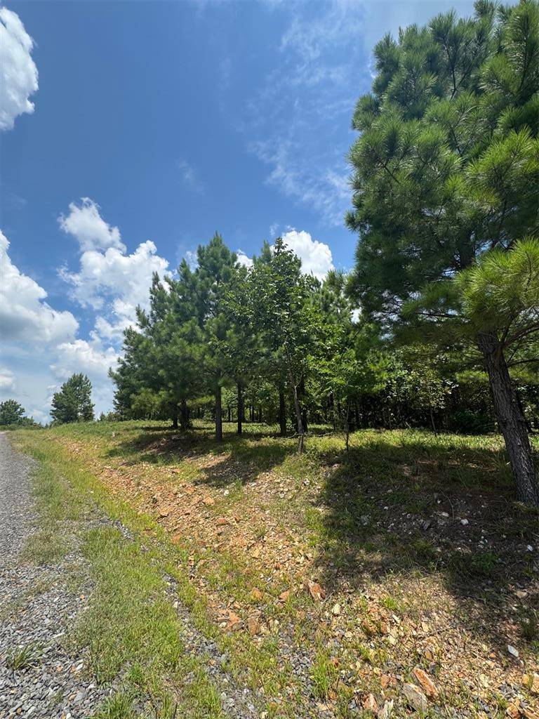 20 Charmed Ridge LN, Broken Bow, OK 74728