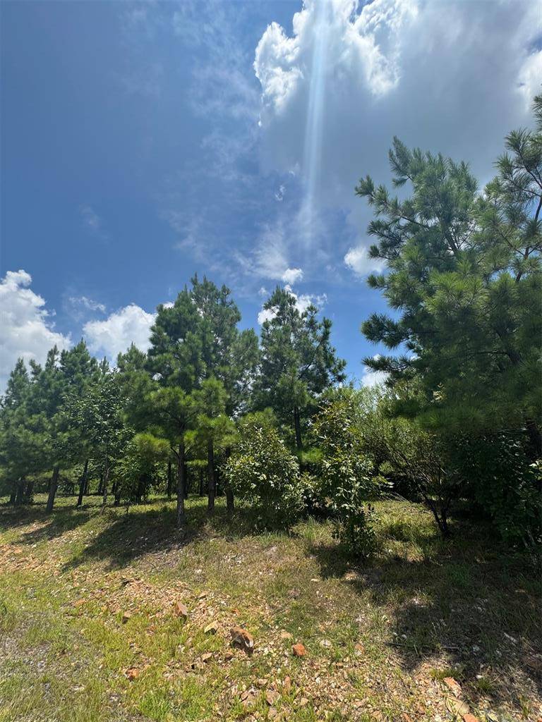 20 Charmed Ridge LN, Broken Bow, OK 74728