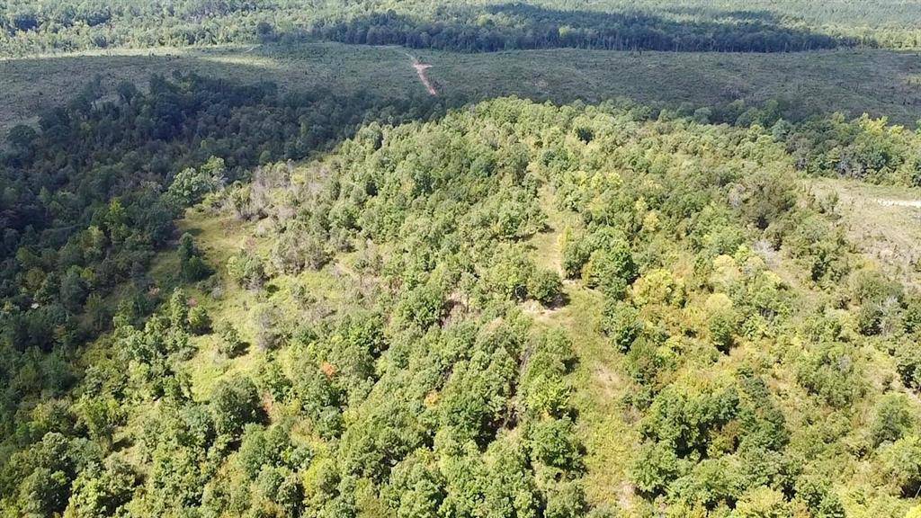 40 Zafra RD, Smithville, OK 74957