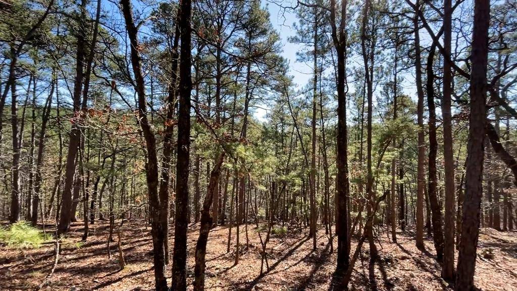 964 Timberline TRL, Broken Bow, OK 74728