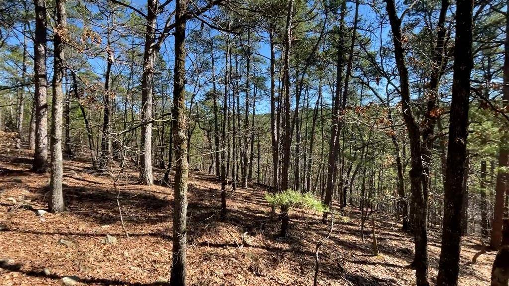 964 Timberline TRL, Broken Bow, OK 74728