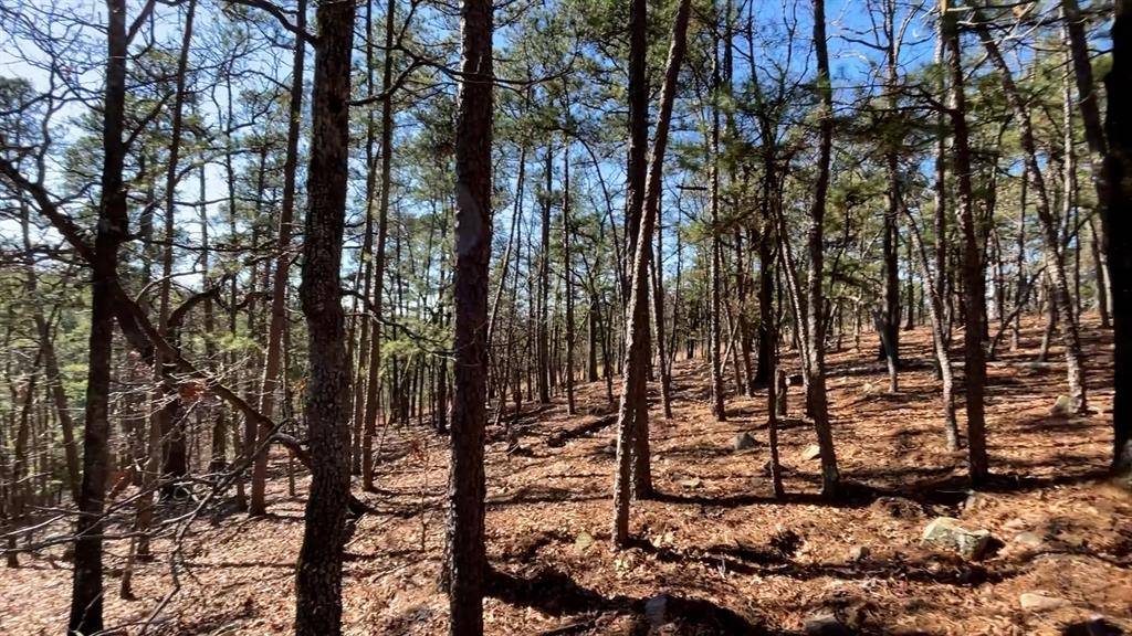 986 Timberline TRL, Broken Bow, OK 74728