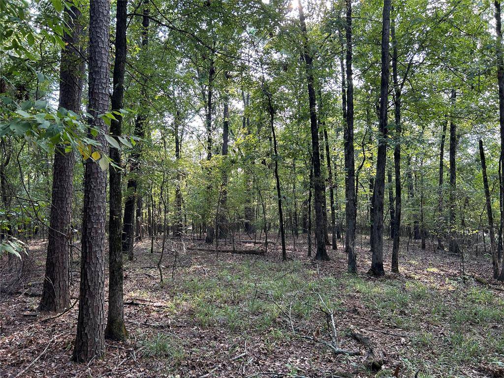 Alexis LN, Broken Bow, OK 74728
