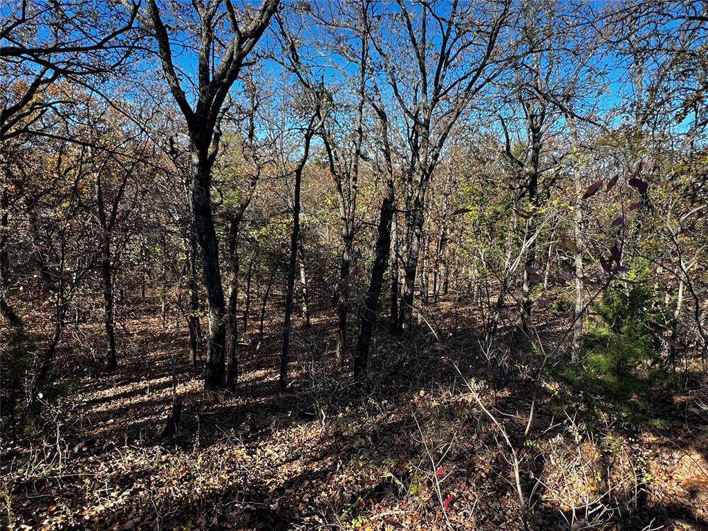 11537 Winding Lake DR, Arcadia, OK 73007