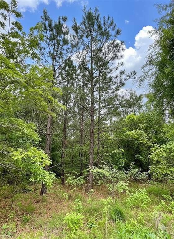 659 Timber Creek Trails South XI, Broken Bow, OK 74728