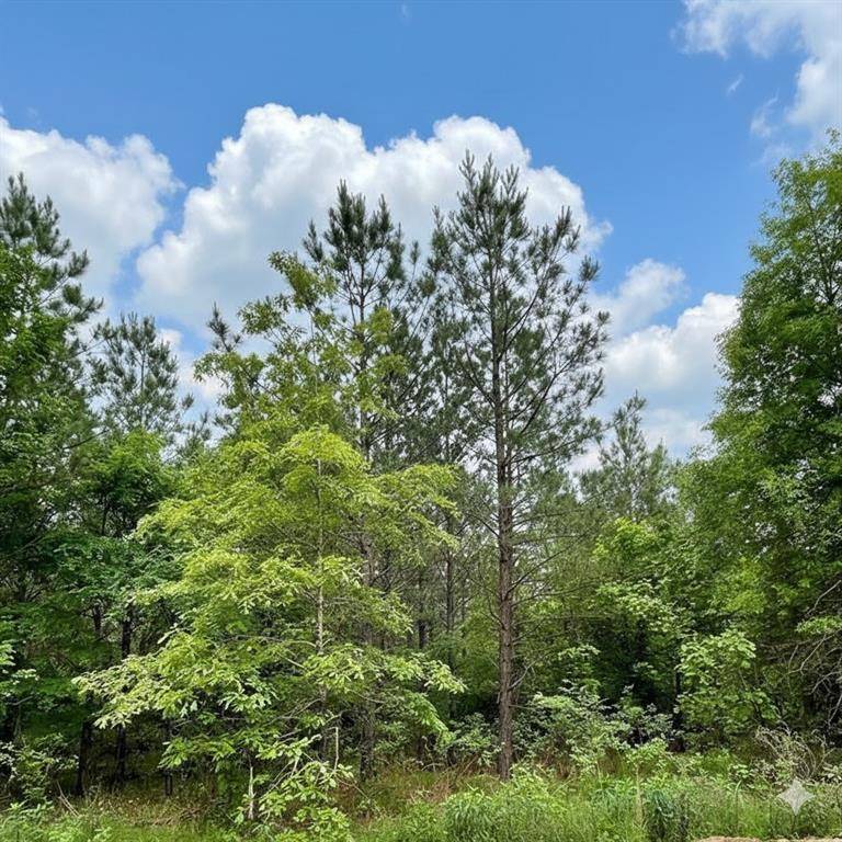 659 Timber Creek Trails South XI, Broken Bow, OK 74728