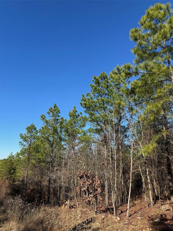 63 Acorn CT, Broken Bow, OK 74728