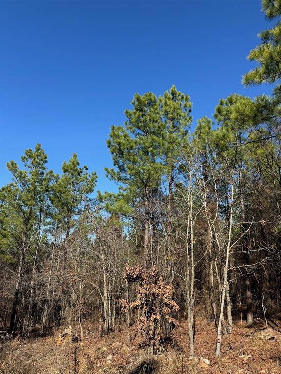 63 Acorn CT, Broken Bow, OK 74728