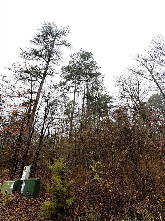 209 Timber Creek TRL, Broken Bow, OK 74728