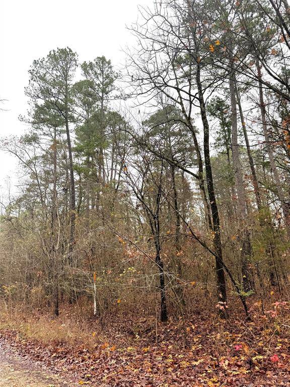 209 Timber Creek TRL, Broken Bow, OK 74728