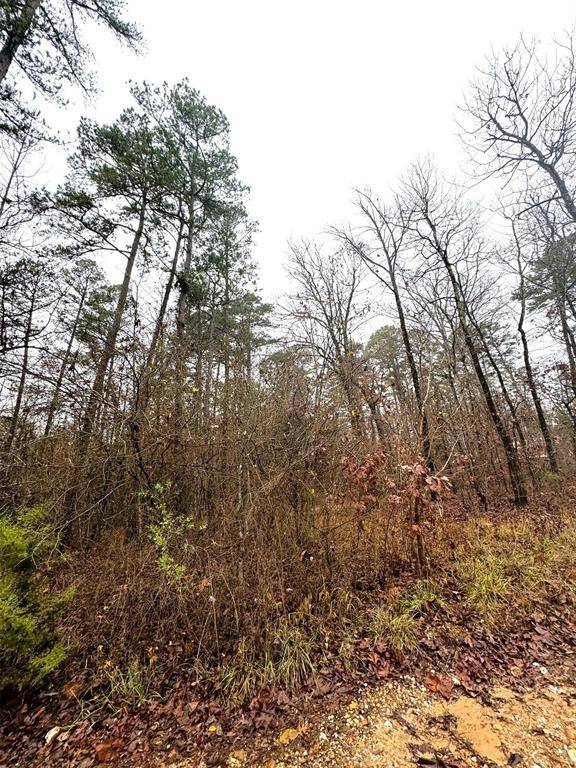 209 Timber Creek TRL, Broken Bow, OK 74728