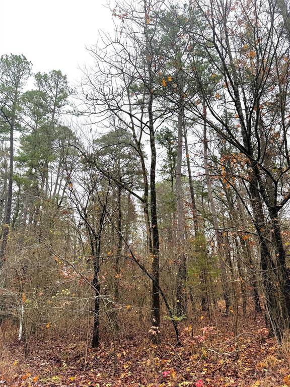 209 Timber Creek TRL, Broken Bow, OK 74728