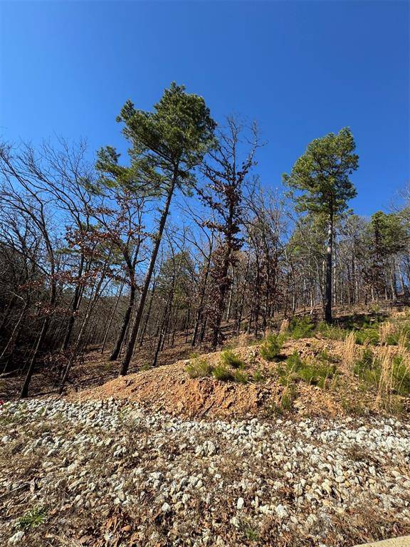 253 Western Pine TRL, Broken Bow, OK 74728