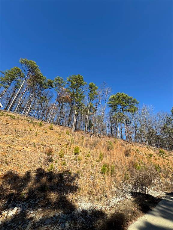 253 Western Pine TRL, Broken Bow, OK 74728