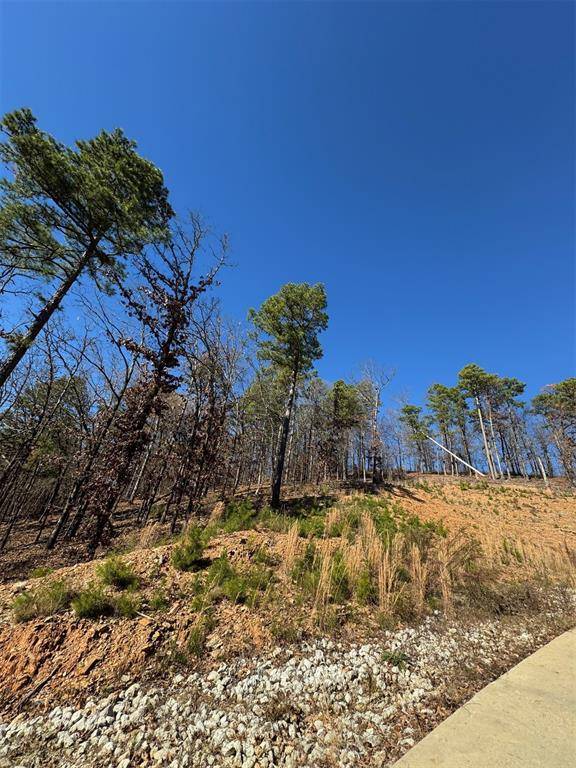 253 Western Pine TRL, Broken Bow, OK 74728