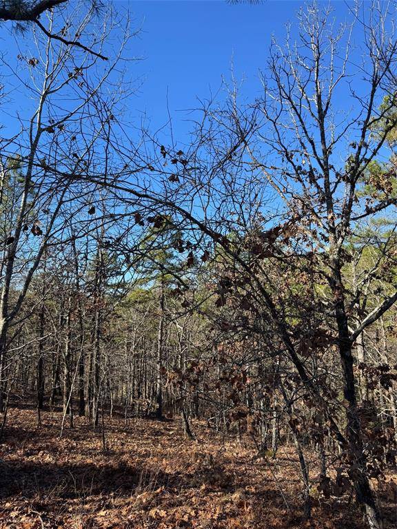 43 Western Maple CT, Broken Bow, OK 74728