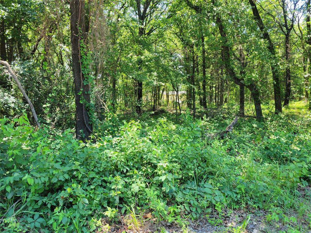 Alberta Creek RD, Kingston, OK 73439