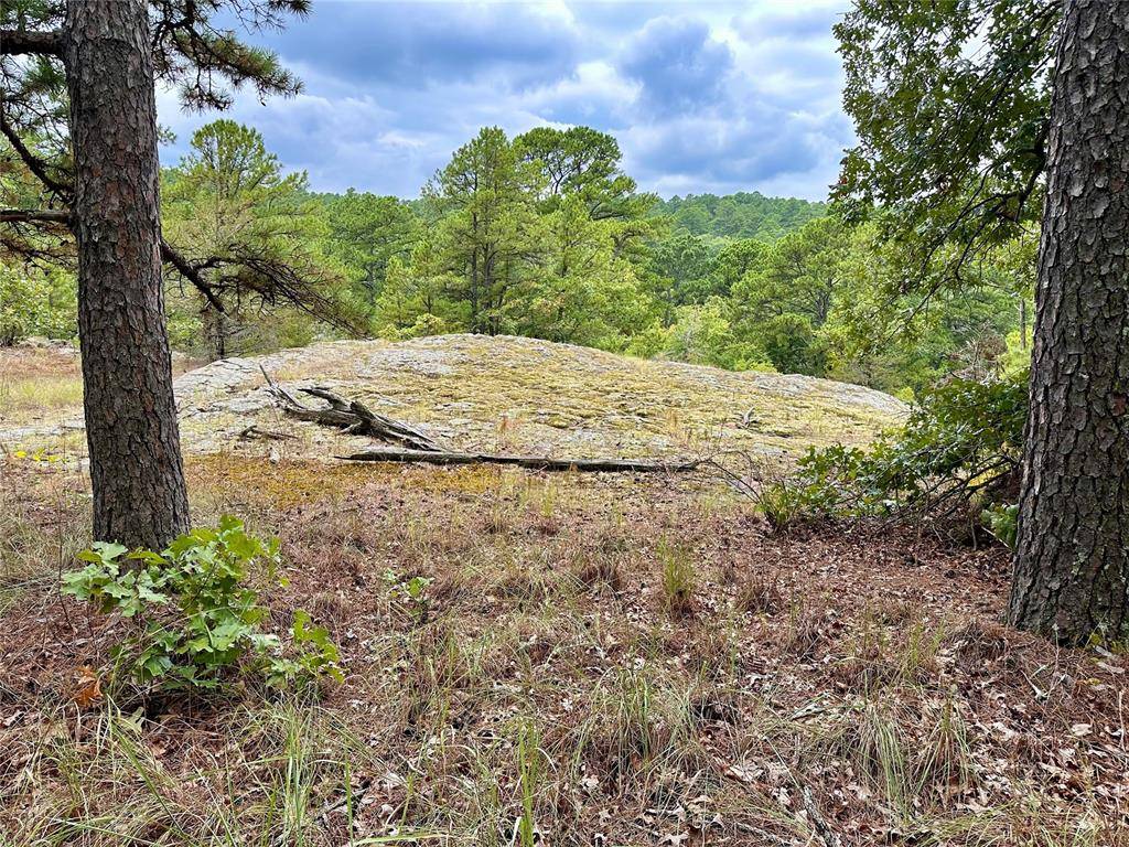 123 Sherman RD, Moyers, OK 74523