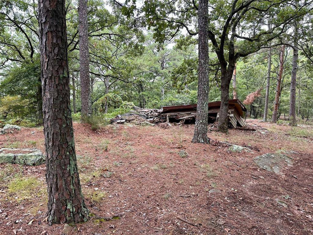 123 Sherman RD, Moyers, OK 74523