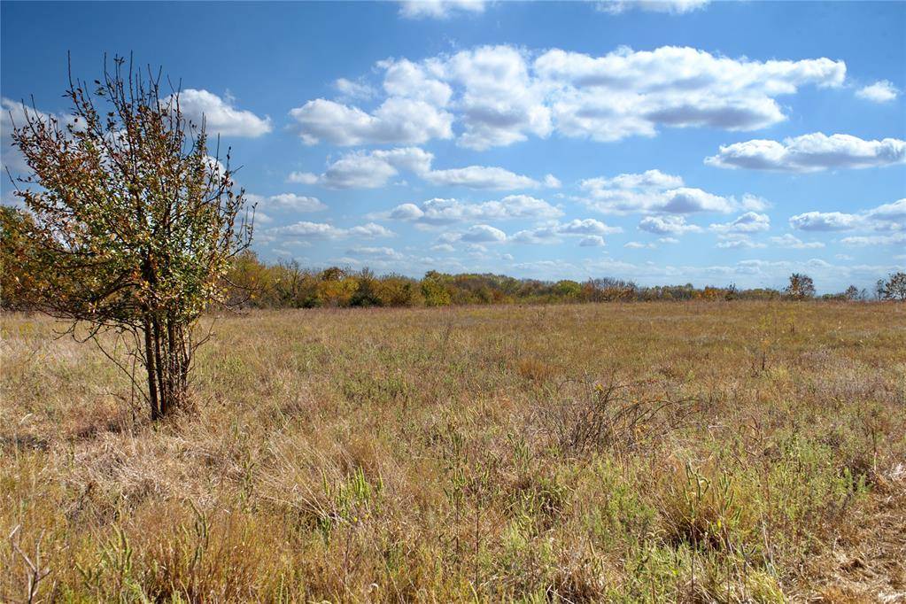 6 Freeny Valley RD, Caddo, OK 74729