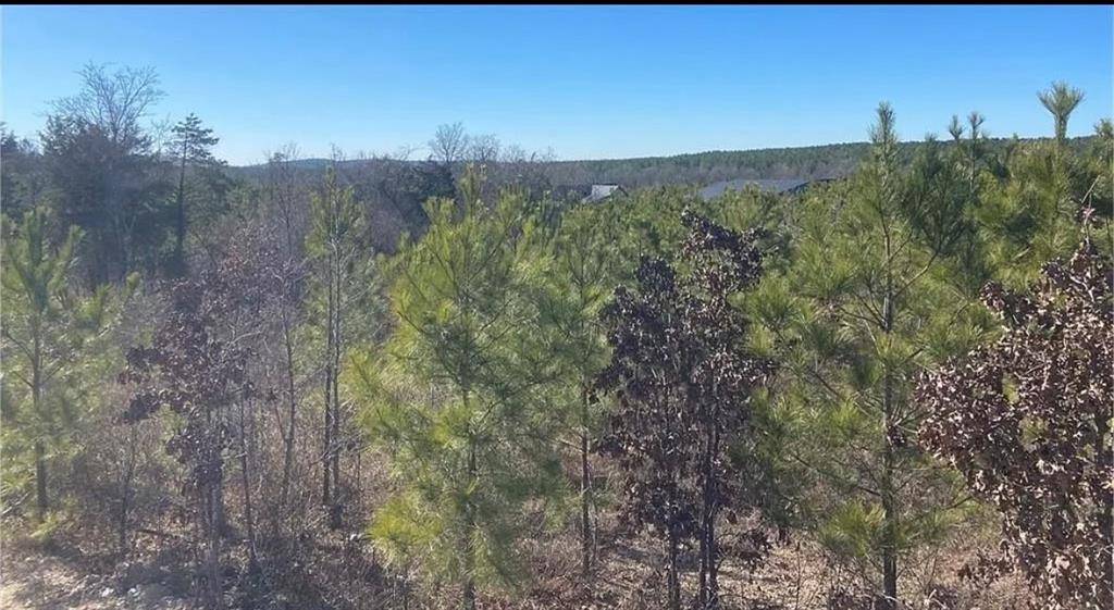 1118 Camp Ranch RD, Broken Bow, OK 74728