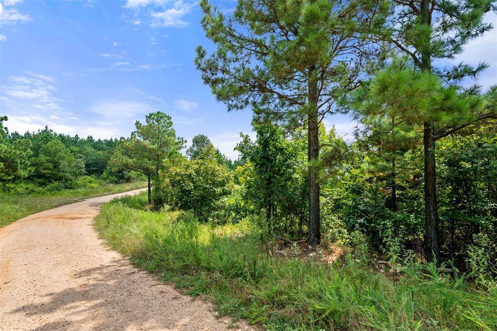 368 Kaisley Blue Eye WAY, Broken Bow, OK 74728