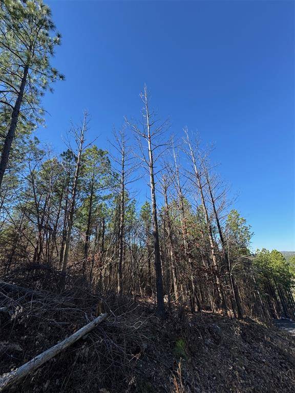 79 Vine CT, Broken Bow, OK 74728