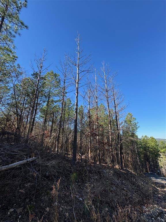 79 Vine CT, Broken Bow, OK 74728