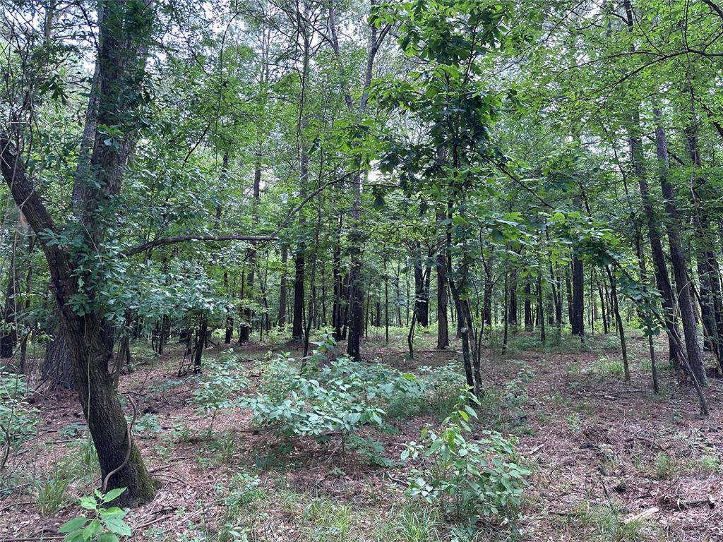 46 Lazy River LN, Broken Bow, OK 74728