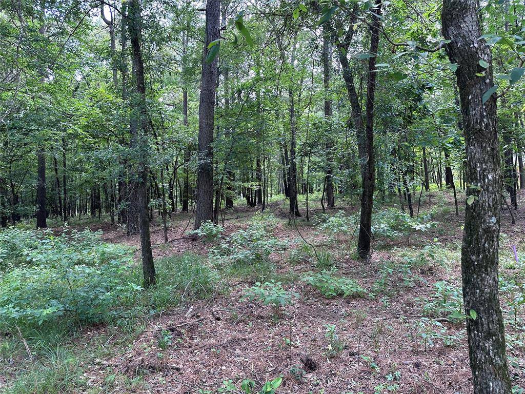 46 Lazy River LN, Broken Bow, OK 74728