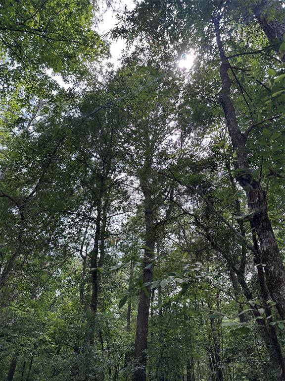 46 Lazy River LN, Broken Bow, OK 74728