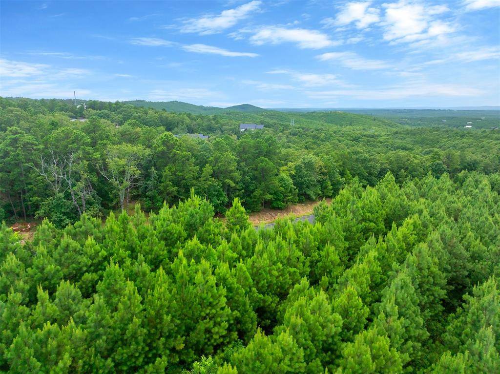 234 Sierra Vista TRL, Broken Bow, OK 74728
