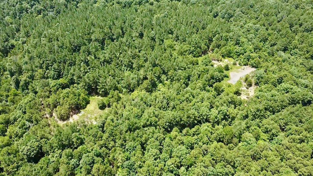 40 Trout Creek RD, Watson, OK 74963
